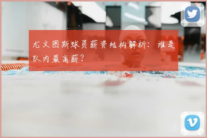 尤文图斯球员薪资结构解析:谁是队内最高薪?